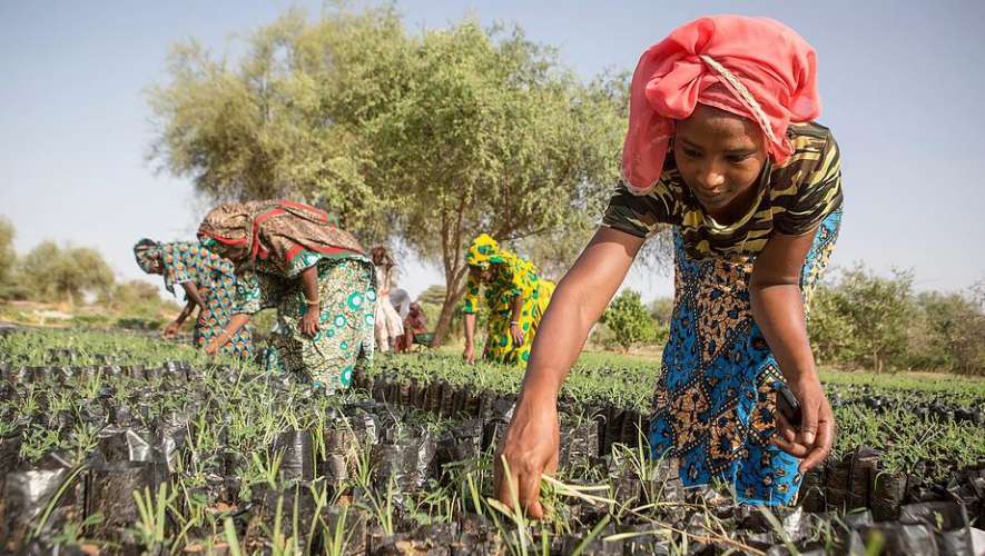 Climate change e condizione femminile: solo colmando il gender gap salveremo il pianeta